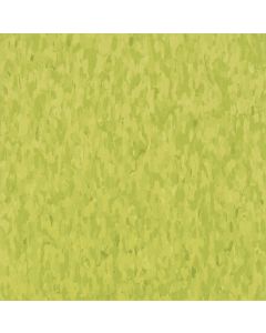 Imperial Texture Kickin' Kiwi  12x12